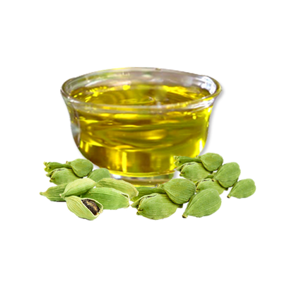 Cardamom Extract